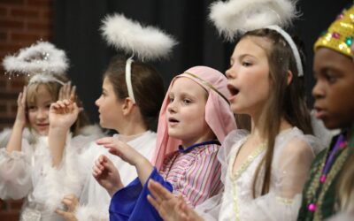 CruView Quarter 2 2023-2024