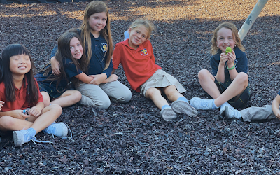 CruView Quarter 1 2024-2025