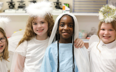 CruView Quarter 2 2024-2025